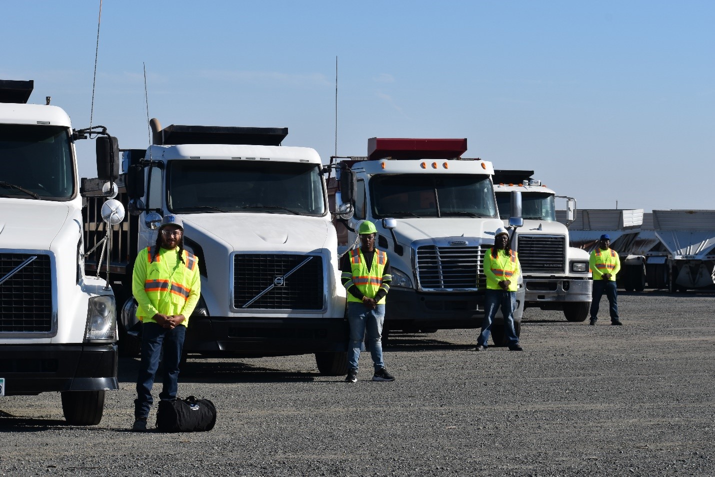 The Mitchells Transport fleet. 