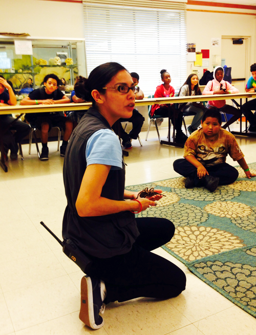 zoo educator with tarantula