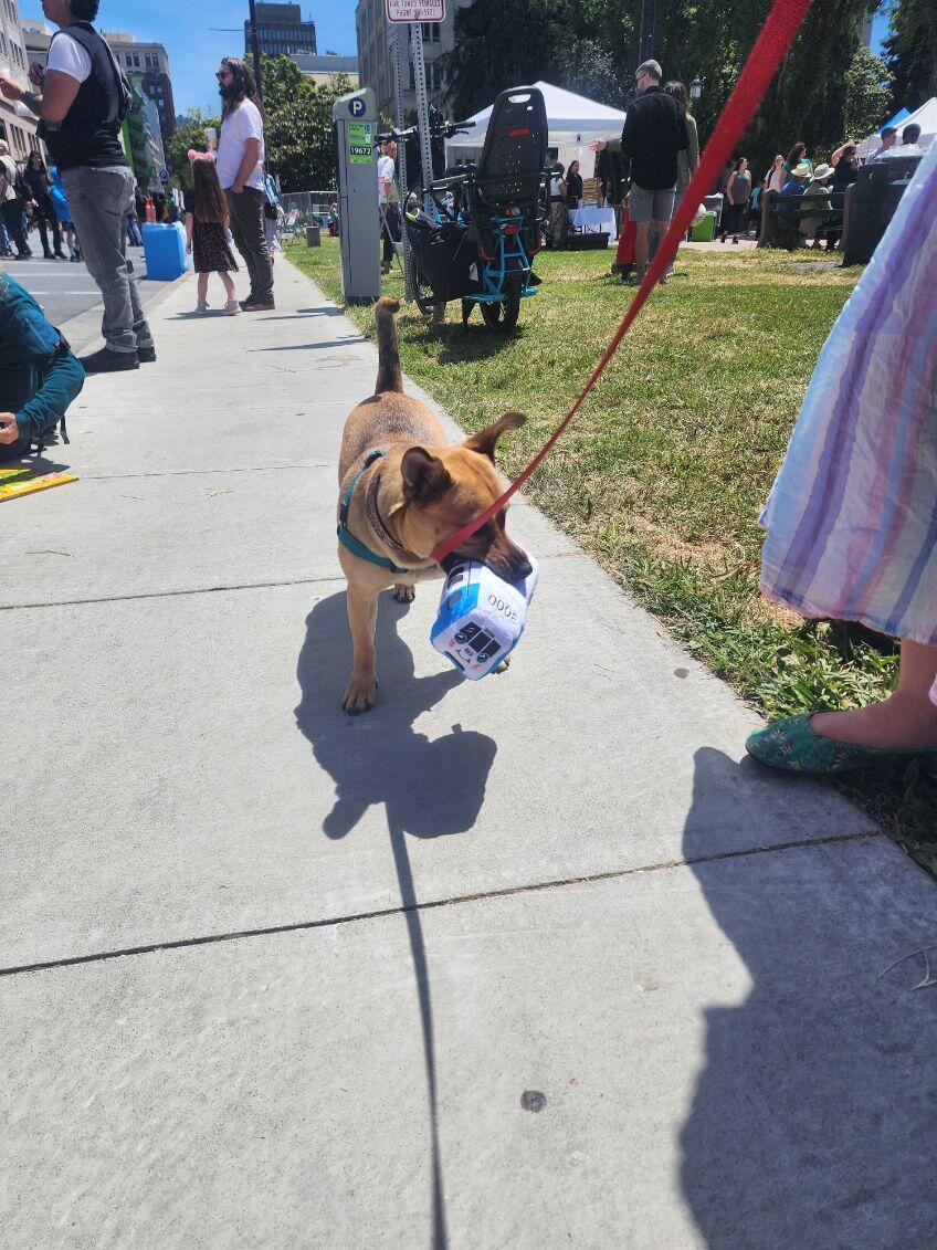 A dog with a BART plushie in its mouth